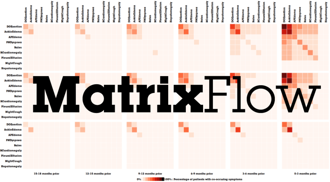 MatrixFlow: Temporal Network Visual Analytics to Track Symptom Evolution during Disease Progression